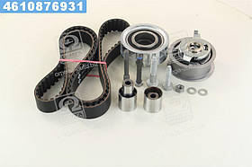 Ремкомплект грм VAG 1.9 TDI 038198119 E (Вир-во INA)