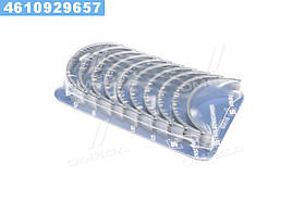 Вкладиші корінні VAG 1.9/2.0TDI ASZ/ARL/AVQ/BKD/CBAB/BRS/BRT (вир-во KS)