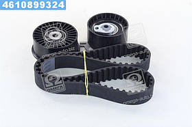 Ремкомплект ГРМ (Вир-во ContiTech)