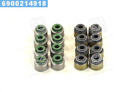 Сальник клапана IN/EX (компл.) HONDA F18B2/F20A/K20A/N22A1/N22A2/F20Z1 (8PCS+8PCS)