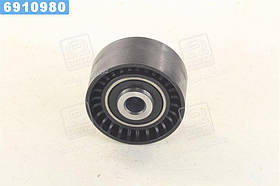 Ролик провідний FORD, FIAT (вир-во Ina)