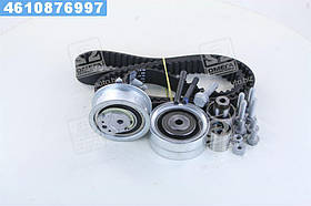 Ремкомплект грм VAG 2.0 TDI 03L 198119 B (Вир-во INA)