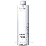 Шампунь для пошкодженого волосся з кератином Envie Luxury Keratin Shampoo 250 мл, фото 3