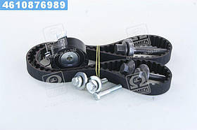 Ремінь ГРМ із натяжним роликом + болти Ford 1 672 144 (Вир-во INA)