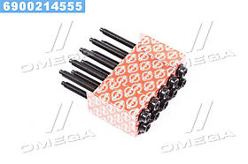 Комплект болтів головки цилідра FORD 1.25/1.4/1.6 ZETEC FUJA/HWDA/HWDB (вир-во Elring)