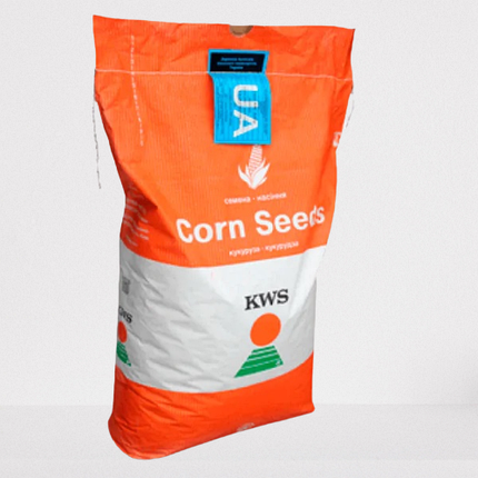 Кукурудза KWS КВС 2370 ФАО 280, насіння кукурудзи КВС, фото 1