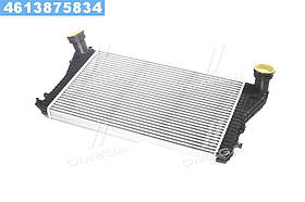 Інтеркулер SKODA OCTAVIA/CADDY/PASSAT 04- (TEMPEST)