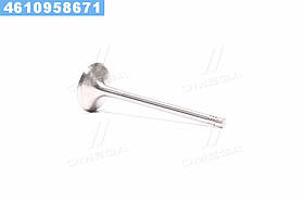 Клапан двигуна IN VAG AXX/BYT/BWA/CGYA/CAEA/CDAA/CABA/CAWA 33.9X6X104 (вир-во KS)