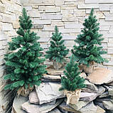 Ялинка лита Premium в мішковині 50 см зелена, фото 9