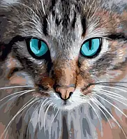 Картина по номерам Взгляд кошки Картины в цифрах деревянном подрамнике Кошка Rainbow Art GX40018