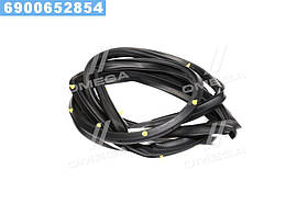 Ущільнювач дверей (вир-во GM)