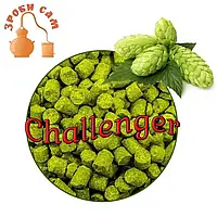 Хміль гранульований Challenger (Велика Британія) 100 грам. Хміль Челленджер Англія
