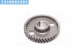 Шестерня р/валу, Z = 40