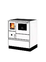 Сталева піч Alfa-Plam ALFA 70 DOMINANT R \ L, фото 4