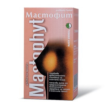 Мастофит таблетки №120, 500 мг. - фото 1 - id-p283844810