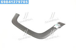 Молдинг крила