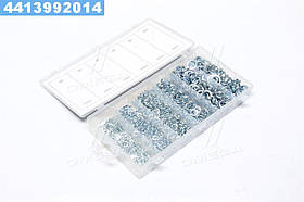 Набір шайб (гроверу) 800шт. (М3-М10) (RIDER)