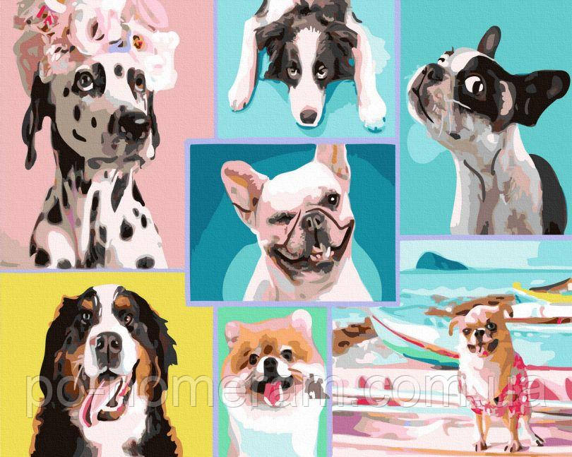 Акційна Розмальовка по цифрам Собачий колаж (BK-GX43119) 40 х 50 см, фото 1
