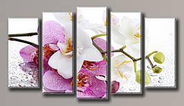Модульна картина на полотні з 5 частин "Орхідея на склі"