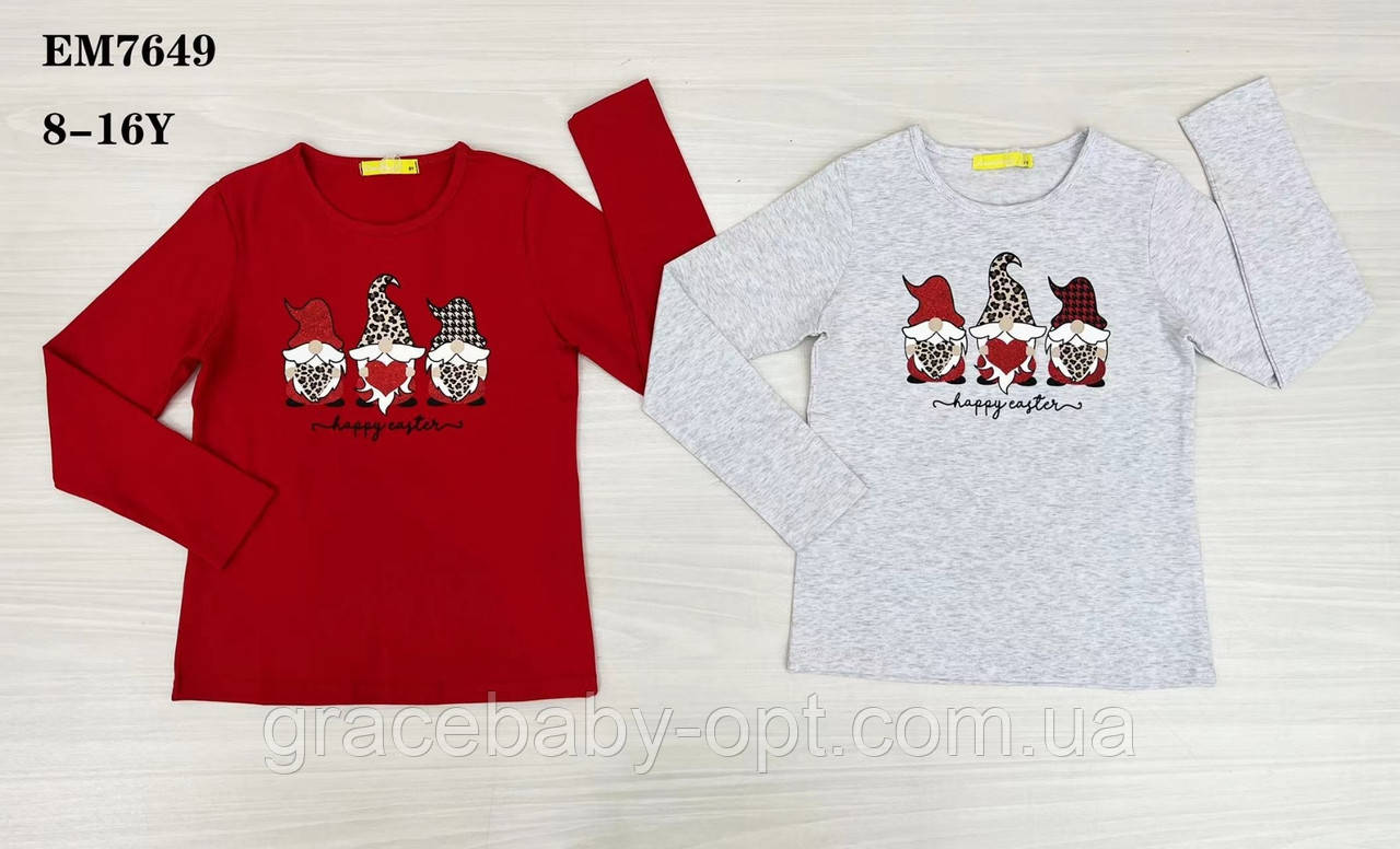 Реглан для дівчат оптом, Lemon tree, 8-16 років, № EM7649, фото 1