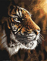 Картина по номерам Тигровый контур Картины в цифрах деревянном подрамнике Дикие животные Rainbow Art GX41906