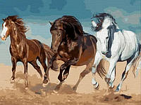 Картина по номерам Дикие кони Картины в цифрах деревянном подрамнике Табун Лошадей Rainbow Art GX42299