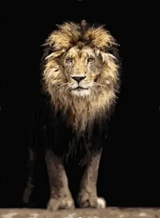 Картина за номерами леви Вожак Картини в цифрах Розфарбування по номерах лев 40х50см Rainbow Art GX42504, фото 1