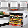 Сушарка для фруктів і овочів ProfiCook PC-DR 1218 Дегідратор для пастили Електросушарка для їжі, фото 10