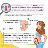 Просто про науку. Як ми з’являємося на світ, фото 2