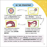 Просто про науку. Як ми з’являємося на світ, фото 3