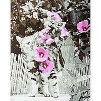 Картина за номерами Strateg ПРЕМІУМ Котик з мальвами з лаком та рівнем розміром 40х50см VA-3337