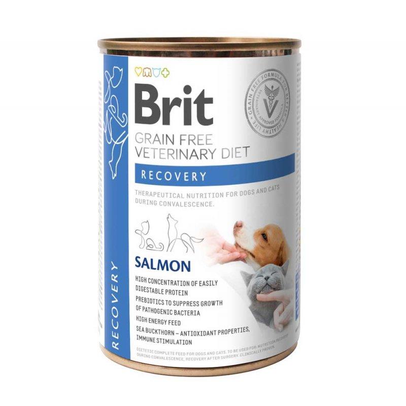 Brit VetDiets Recovery консерва для кішок та собак у період відновлення 400 г (лосось)