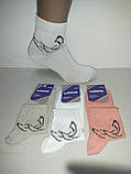 Шкарпетки жіночі короткі стрейч 23-25 р. "Птах" (12 пар!) (Демісезонні) Варос, фото 2