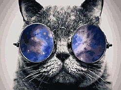 Діамантова вишивка. Картина на підрамнику "Мартовський кіт", 30х40 см, квадратні стрази