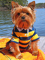 Діамантова вишивка. Картина на підрамнику "Відпочинок", 30х40 см, квадратні стрази