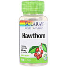 Глід (Hawthorn) 525 мг