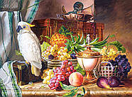 Пазли Castorland 3000 елементів "Натюрморт з фруктами та какаду" (C-300143), фото 2