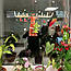 Наклейки новорічні Олень з ялинкою (декор вікон новий рік роги сніжинки намальований лось) матова 500х310 мм, фото 3