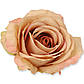 Троянда штучна чайна, 12 шт. Троянда діаметром 9 см, Штучна троянда для декору, Троянда штучна, фото 2