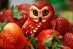 Діамантова вишивка. Картина на підрамнику "Полуничний сюрприз", 20х30 см, квадратні стрази