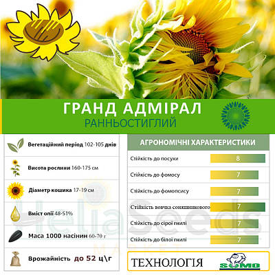 ГРАНД АДМІРАЛ