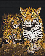 Картина по номерам Ночные леопарды Картины в цифрах Раскраска Семья Леопардов Brushme BS52791