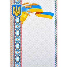 Бланк універсальний №12 KNZ
