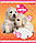 А5/12 кл. 1В Lovely puppies, зошит учнів., фото 3