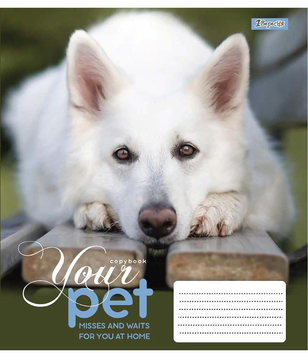 А5/12 лін. 1В Dog loyality, зошит учнів.