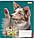 А5/12 лін. 1В Dog loyality, зошит учнів., фото 5