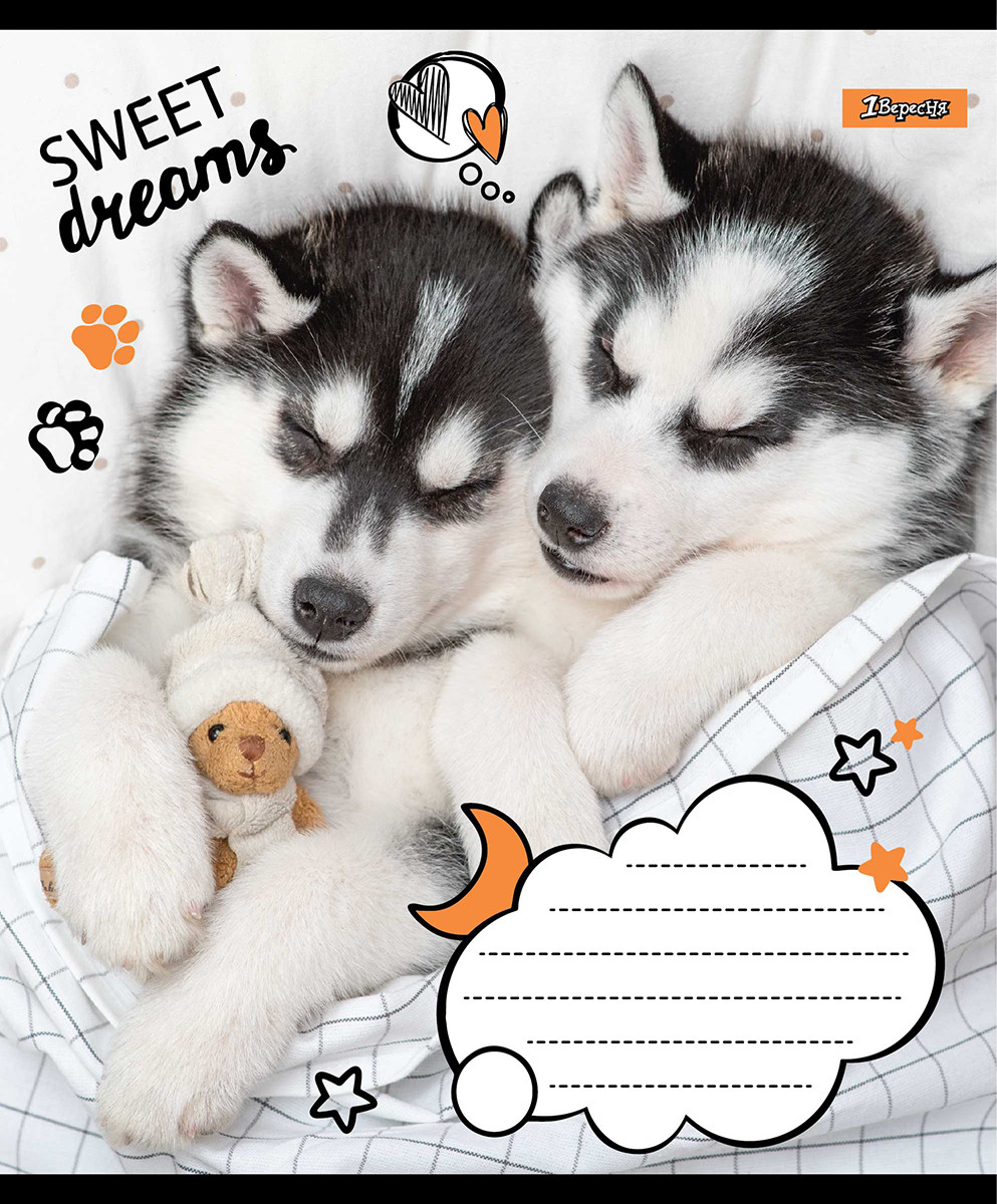 А5/12 кос. 1В Sweet dreams, зошит учнів.