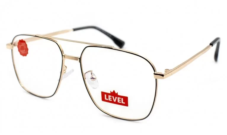 D29300-C6 Level