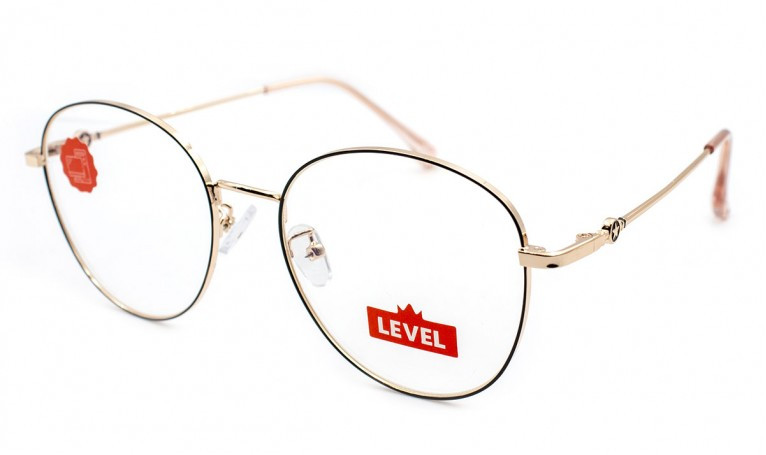 D29293-C6 Level