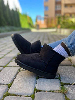 Уггі UGG australia короткі чорні екологічна замша Жіночі уггі, фото 2